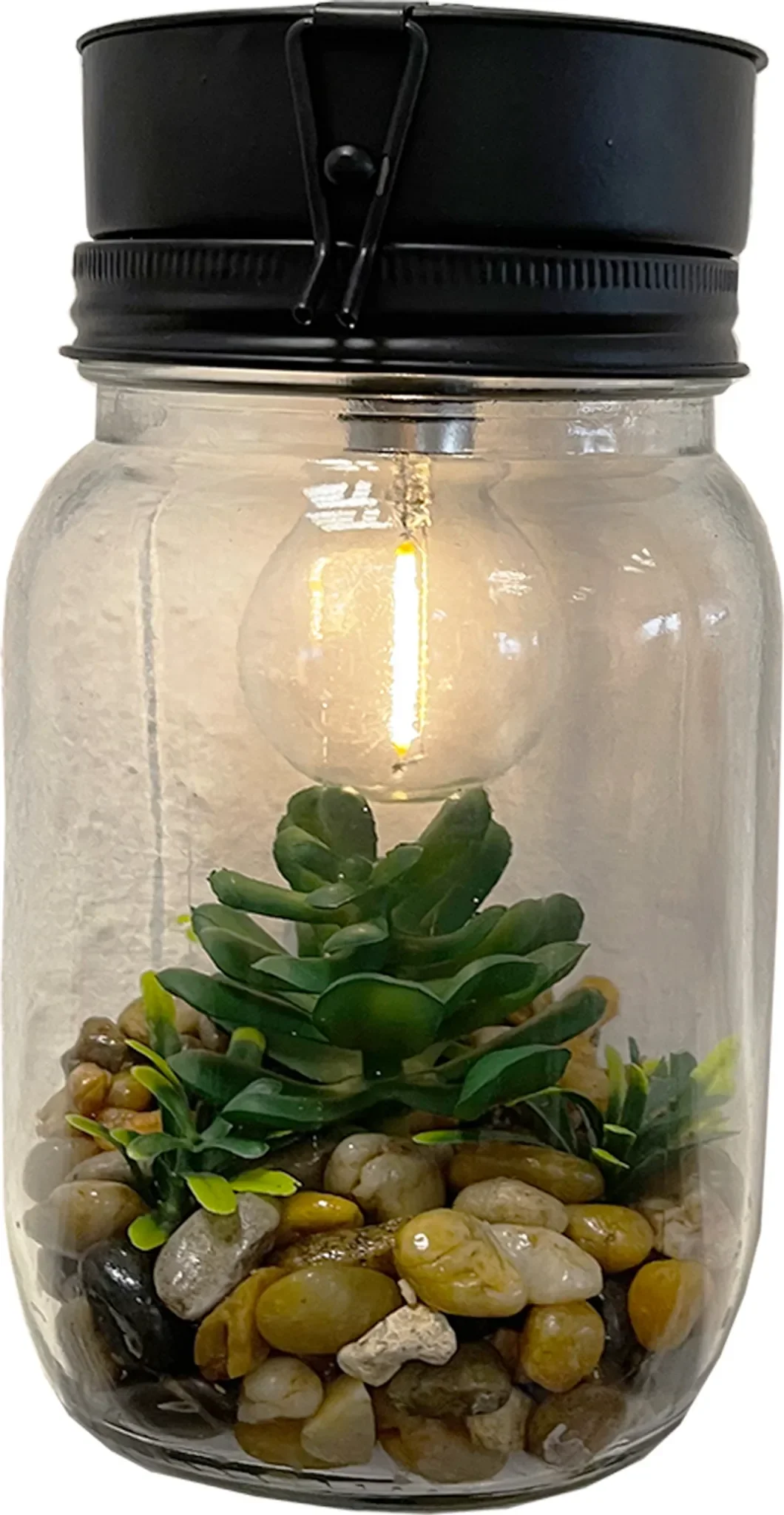 LED Deko-Hängelampe aus Glas – mit Sukkulente